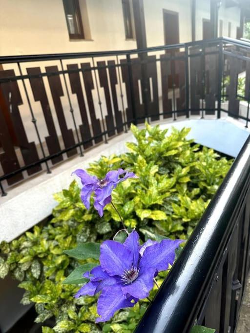Spacious Fully Furnished Studio In Kavarna Apart Hotel Exteriér fotografie